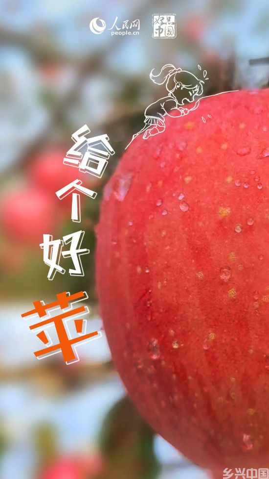 “天、空、地”护航，“果盘子”稳当(图1)
