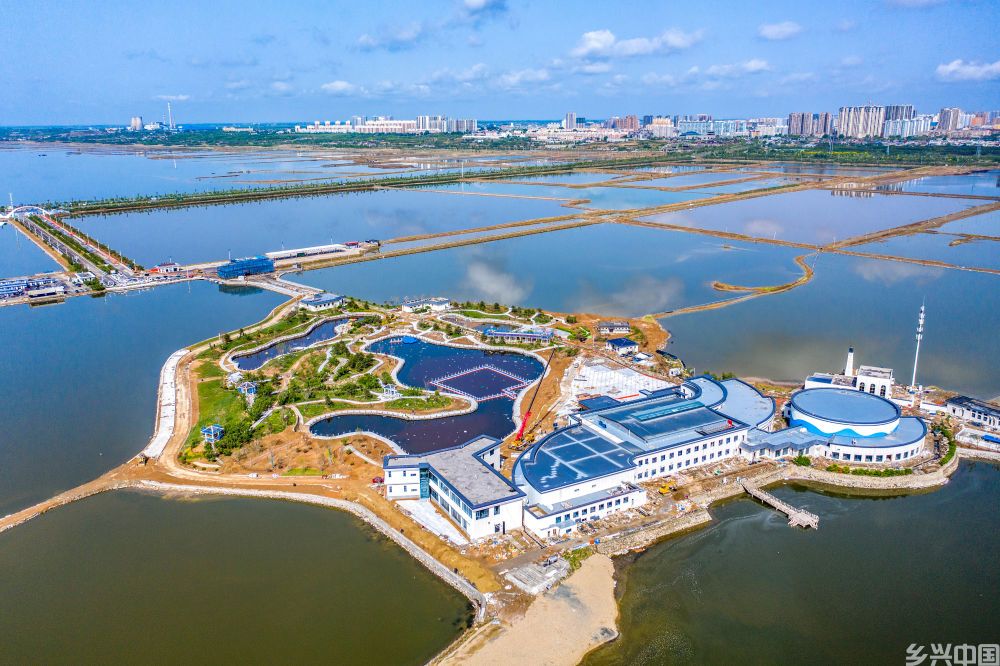 从千年盐湖看中部地区绿色“蝶变”(图7)