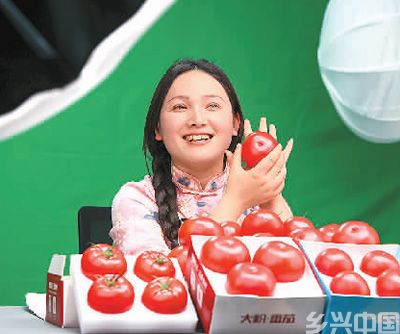 在河南省洛阳市伊滨区寇店镇孙窑社区电商助农直播基地，主播正在屏幕前热情地向网友们介绍番茄。 倪 睿摄（人民视觉）