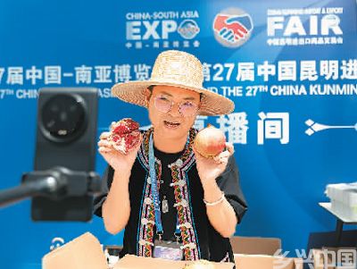 在云南省昆明市举办的第七届中国-南亚博览会上，网络主播正在推介农产品。新华社记者 陈欣波摄