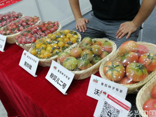 图片 1.png