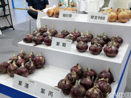 图片 2.png
