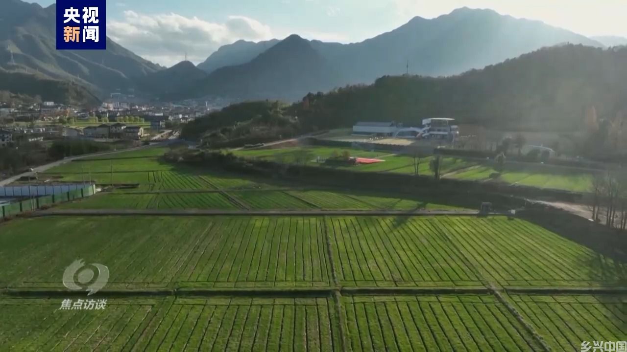 伟大的历史变革丨强农富民美乡村(图6)