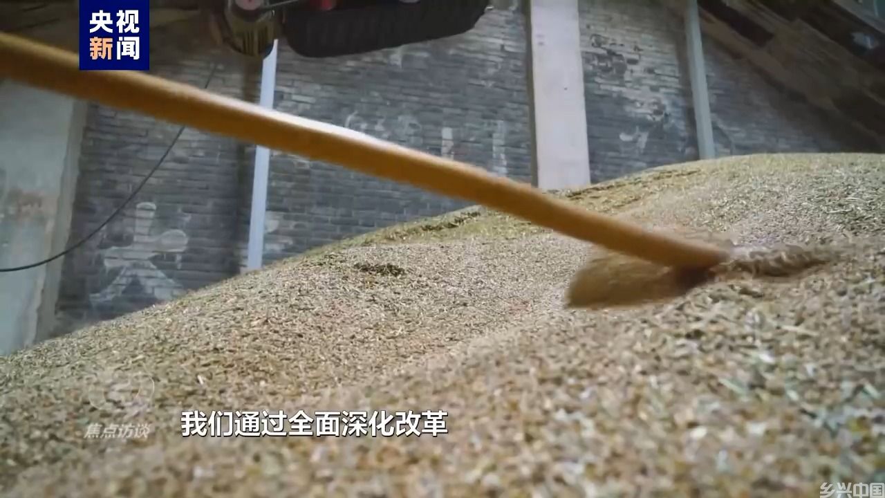 伟大的历史变革丨强农富民美乡村(图13)