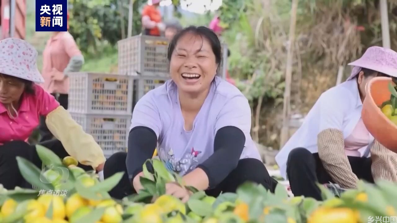 伟大的历史变革丨强农富民美乡村(图29)