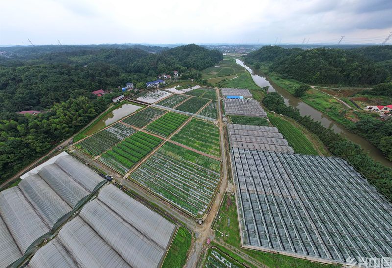 邹学校院士农业示范基地。人民网记者 刘宾摄