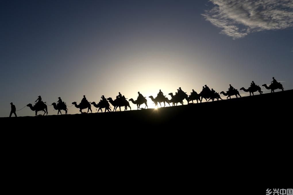 多地取消旅游预约　“不约而至”如何体验良好？(图2)