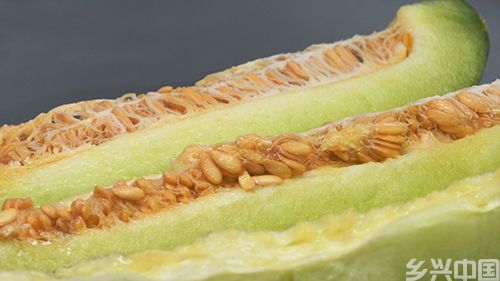 天山脚下的甜蜜盛宴(图3)