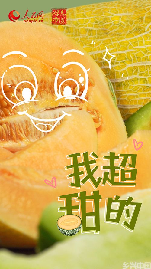 天山脚下的甜蜜盛宴(图1)