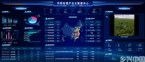 从“一朵花”数字化旅程，看平阴玫瑰产业五年“蝶变”(图3)