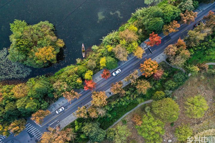 一湖千年 再续华章——世界遗产保护发展的“西湖答卷”(图12)