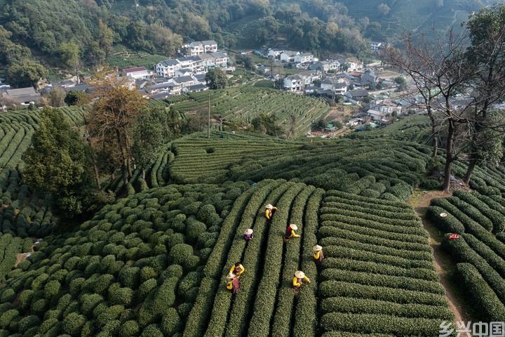 一湖千年 再续华章——世界遗产保护发展的“西湖答卷”(图8)