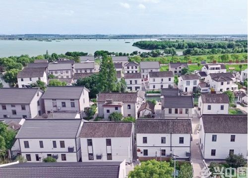 大都市“网红村”如何炼成？