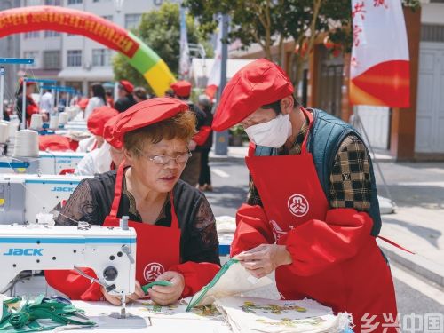 带着“下山”农民奔共富(图1)