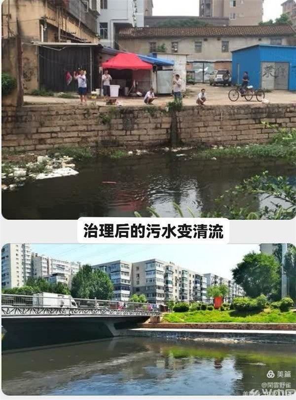 志当存高远 —记我所熟悉的陈政高 （上篇）(图7)