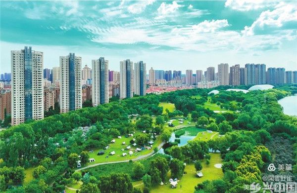 志当存高远 —记我所熟悉的陈政高 （上篇）(图9)