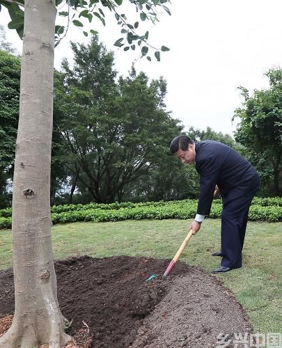 2012年12月7日至11日，习近平在广东省考察工作。这是8日上午，习近平在深圳莲花山公园种下一棵高山榕树。新华社记者 兰红光 摄