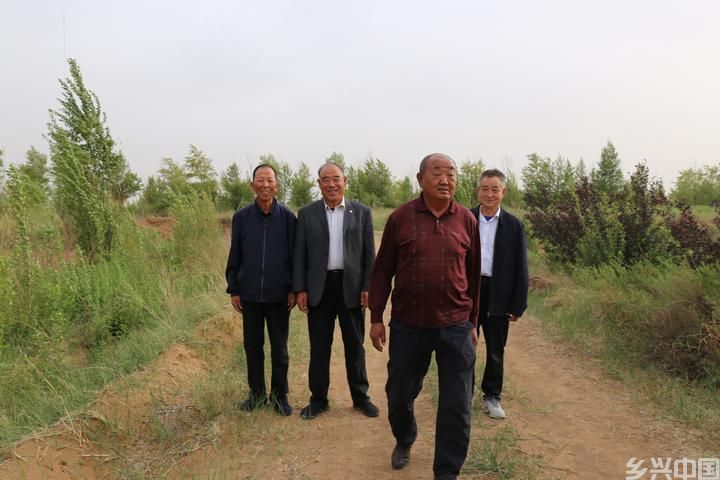 阿门其日格的树(图21)