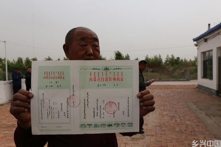 阿门其日格的树(图28)