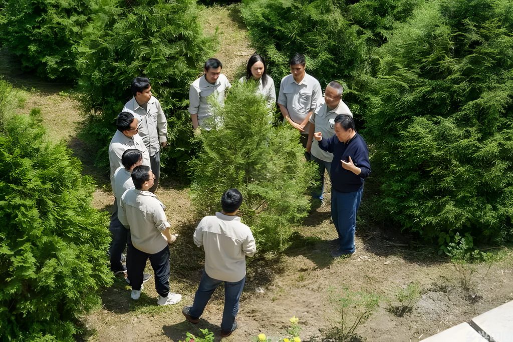 4月26日，在位于重庆市开州区温泉镇乐园村的重庆雪宝山国家级自然保护区崖柏繁育科研基地，工作人员与中国林业科学院专家郭泉水（右一）讨论崖柏的繁育技术。新华社发