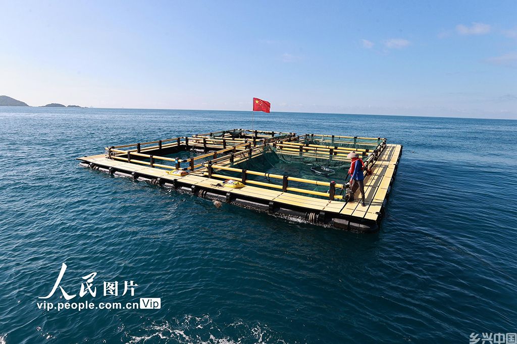 海南三亚：发展深海网箱养殖 打造“蓝色粮仓”新路【2】
