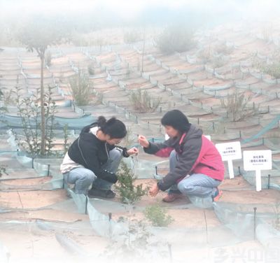 以科研成果护高原生态(图1)