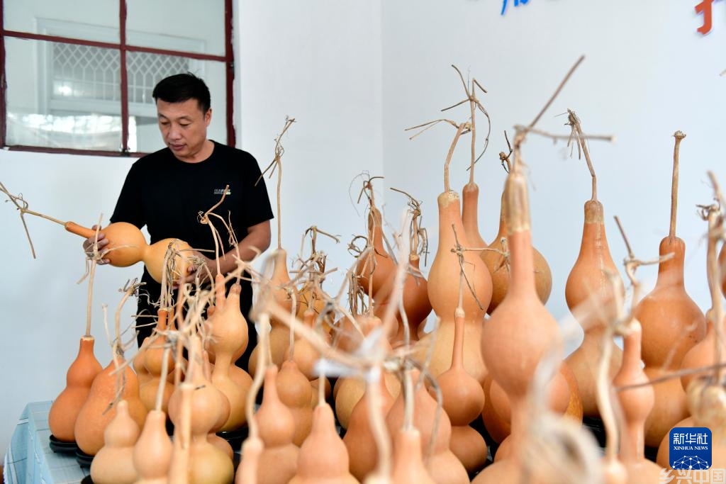 发展特色产业助推乡村振兴(图5)