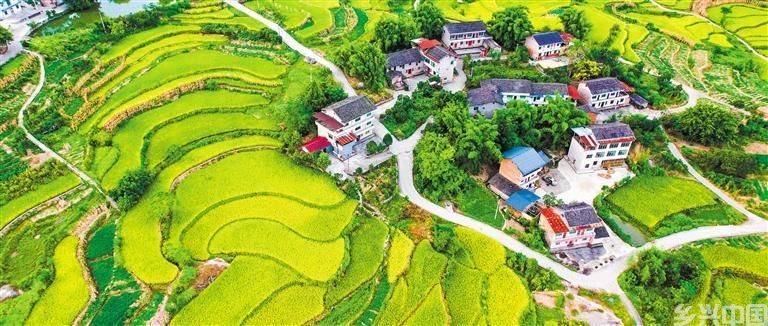 和美乡村(图3)