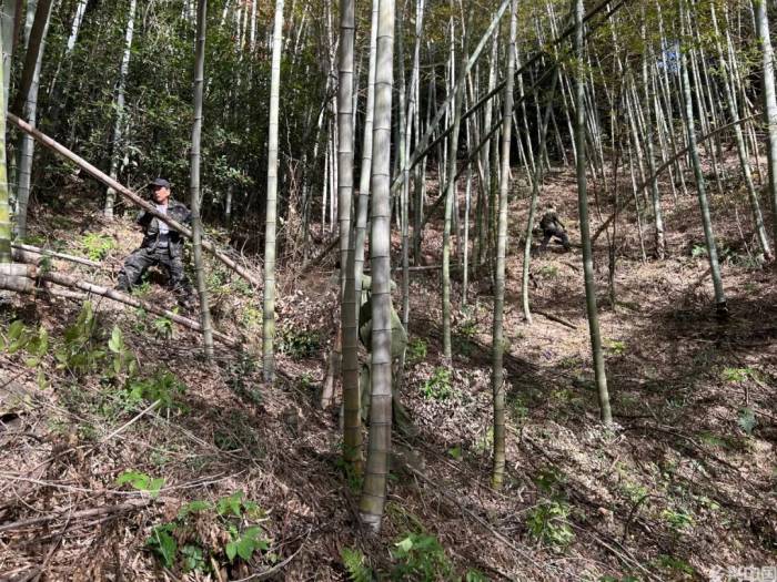 如何打开“两山”转化通道？(图4)