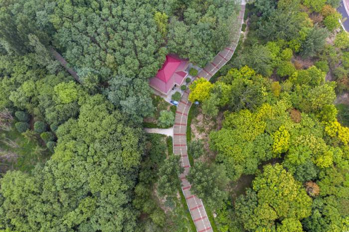 湿地生态美(图1)