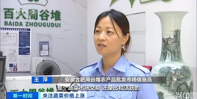 家常菜价格“不家常”？黄瓜批发价涨超40%！还会再涨吗？(图3)