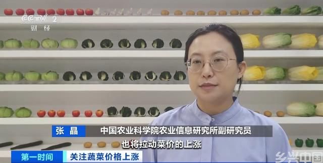 家常菜价格“不家常”？黄瓜批发价涨超40%！还会再涨吗？(图9)