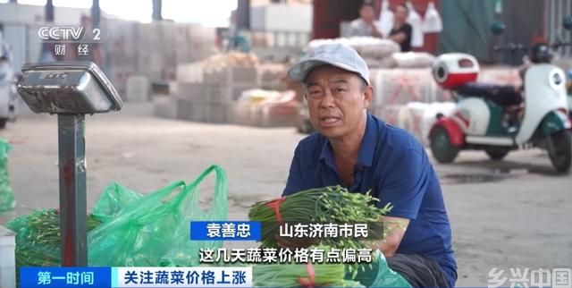 家常菜价格“不家常”？黄瓜批发价涨超40%！还会再涨吗？(图4)