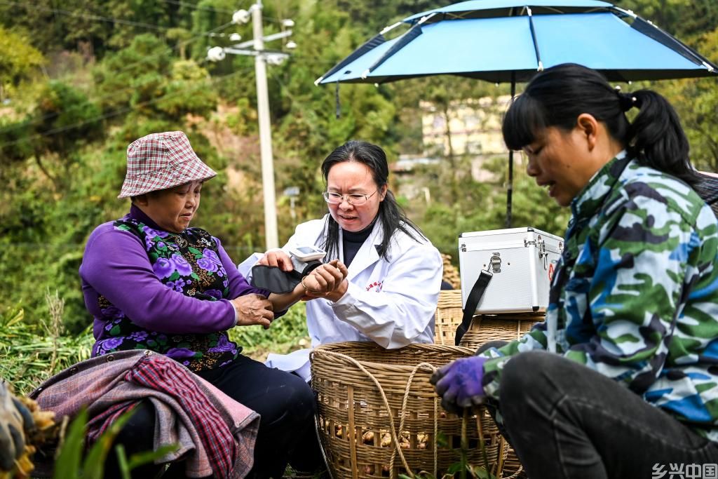 致敬那些行走山乡的“健康守门人”(图10)
