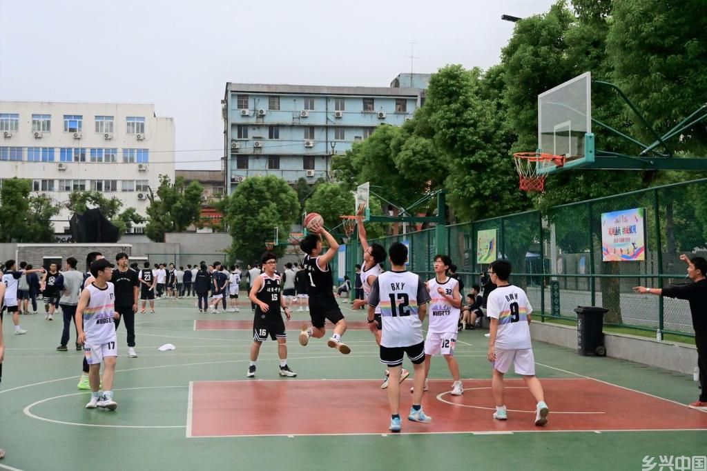 在有一棵大树的学校，读懂教育的力量(图4)