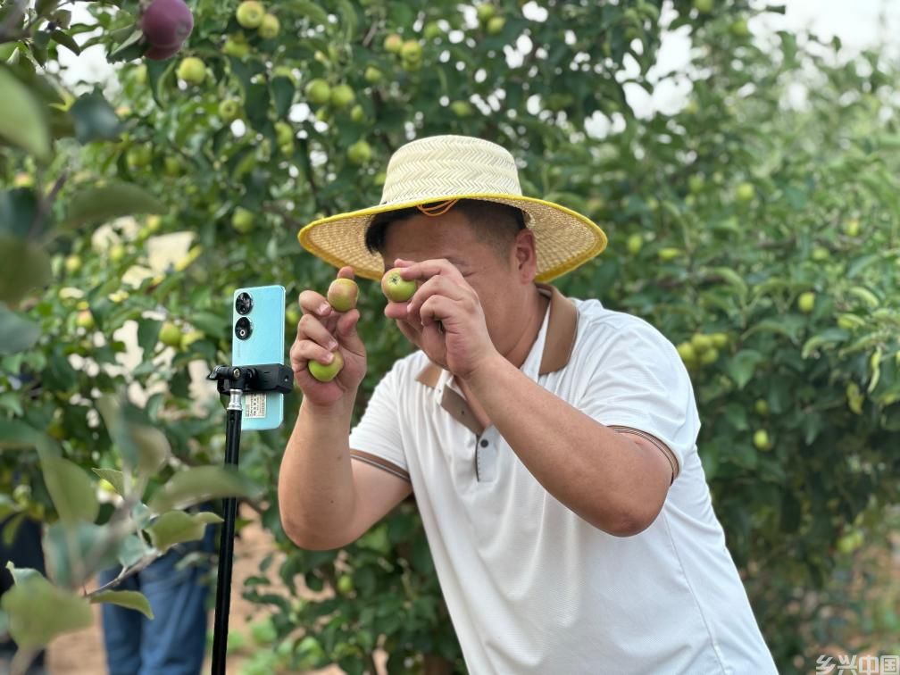 内蒙古伊金霍洛旗：驻村第一书记直播矩阵让好农货卖上好价钱(图1)