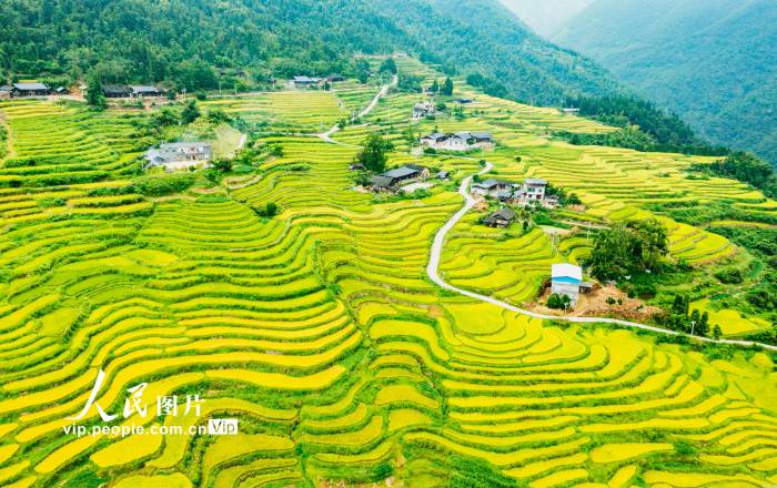 湖南东安：山乡“丰”景如画【4】