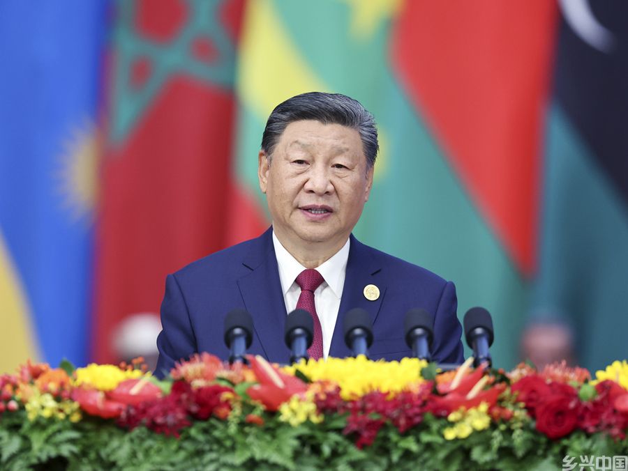 习近平出席中非合作论坛北京峰会开幕式并发表主旨讲话(图1)