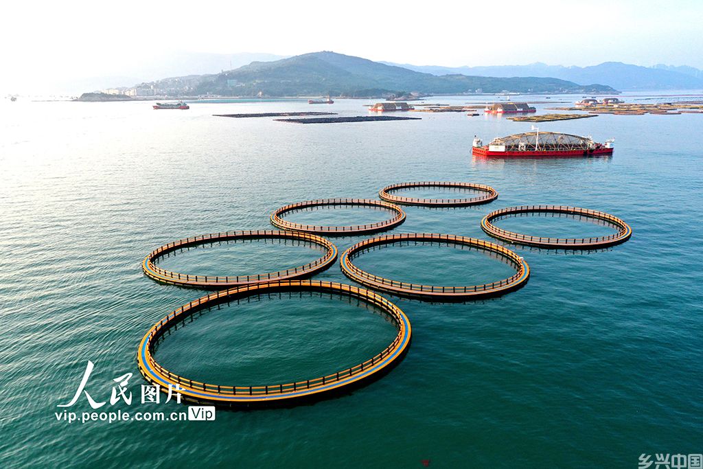 福建连江:深耕现代化“海上粮仓”【3】