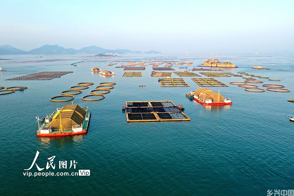 福建连江:深耕现代化“海上粮仓”【8】