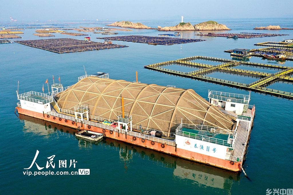 福建连江:深耕现代化“海上粮仓”【4】