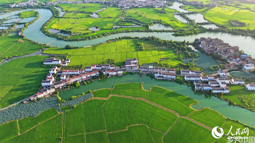 南昌县富山乡清湖村，蜿蜒的灌溉水渠与村庄农房、田园绿植相映成趣。人民网 朱海鹏摄