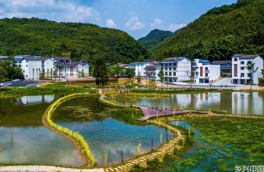 竹山场镇尾水湿地公园刚建成时的面貌。（资料图）受访者供图