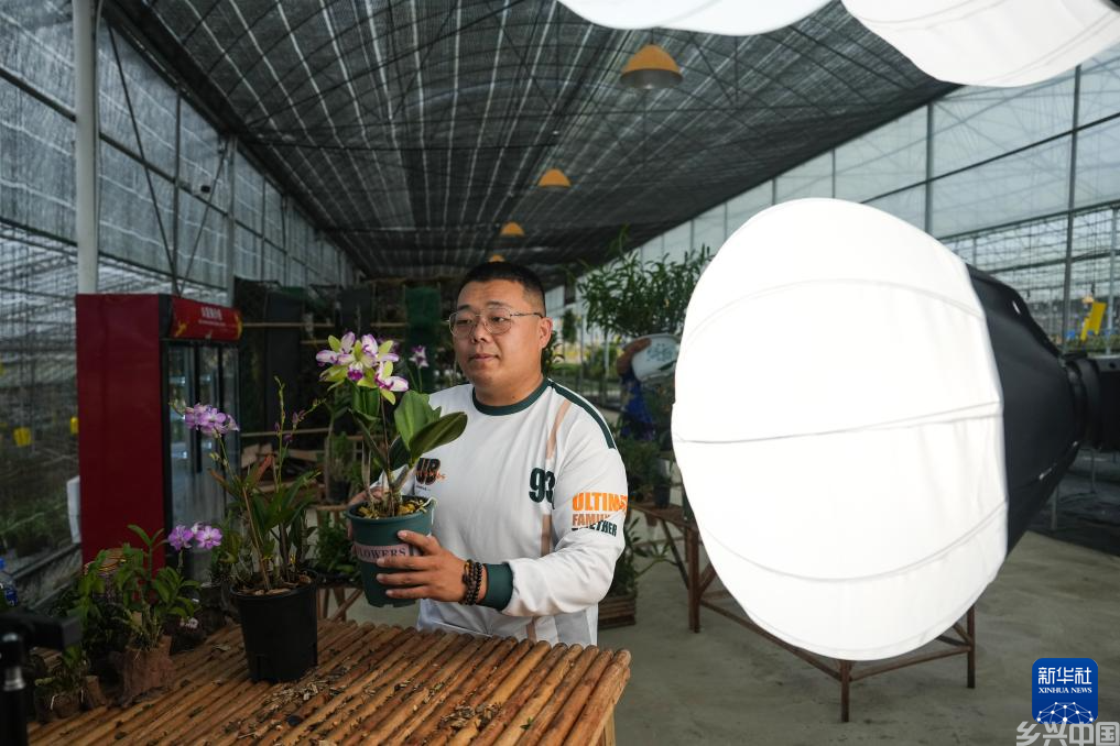发展石斛产业助力乡村振兴(图6)