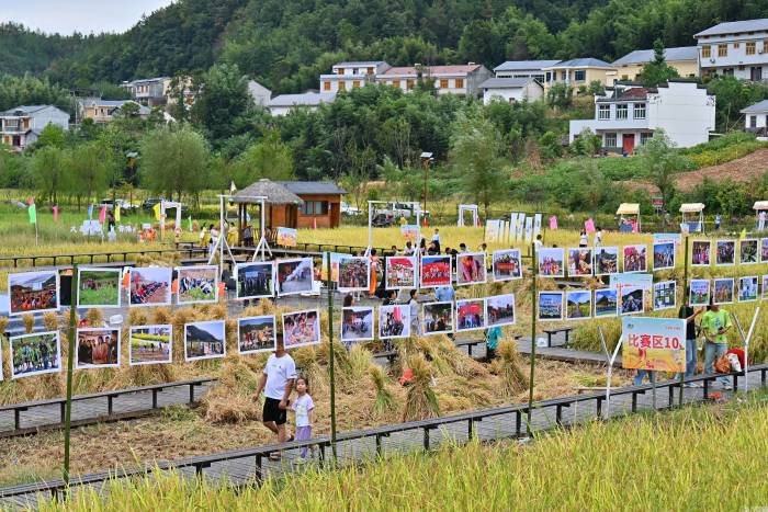 湖北竹山：举办田园影展 打造“五美乡村”(图1)
