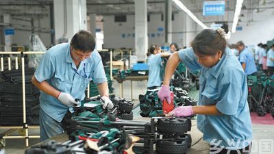 打造特色产业 拓展国际市场(图3)