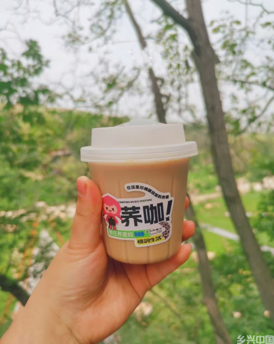 修复变“造富”  一颗荞麦里的生态账(图4)