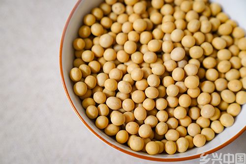 大豆摇铃千里金 “粮”辰美景迎丰年(图8)