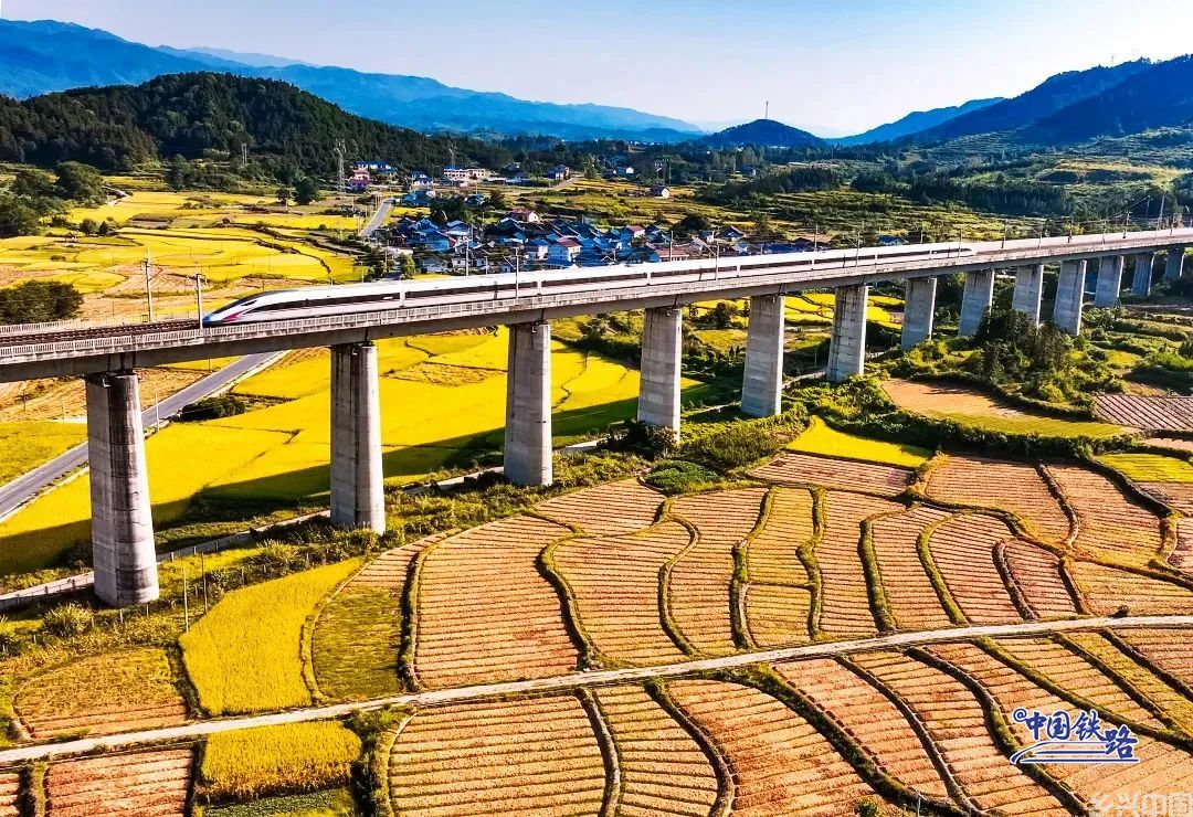 金灿灿黄澄澄！看复兴号穿越秋日稻田(图4)