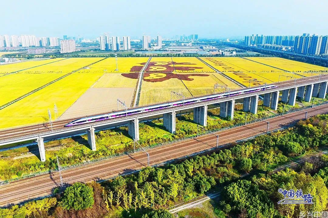 金灿灿黄澄澄！看复兴号穿越秋日稻田(图5)